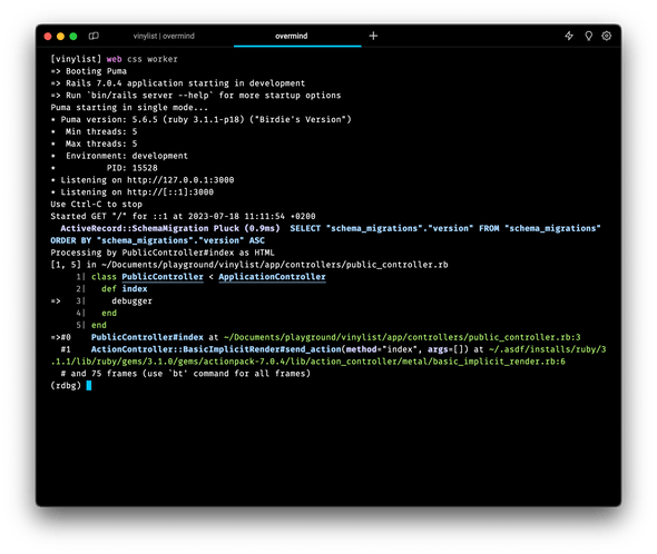 Overmind connect Rails debugger